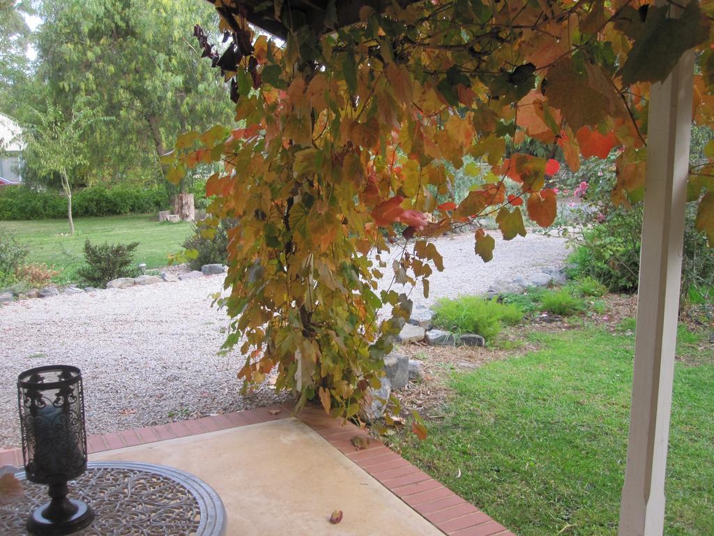 Amy'S House Bed & Breakfast Auburn Esterno foto