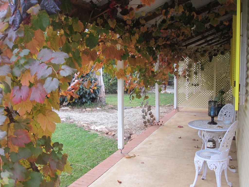 Amy'S House Bed & Breakfast Auburn Esterno foto